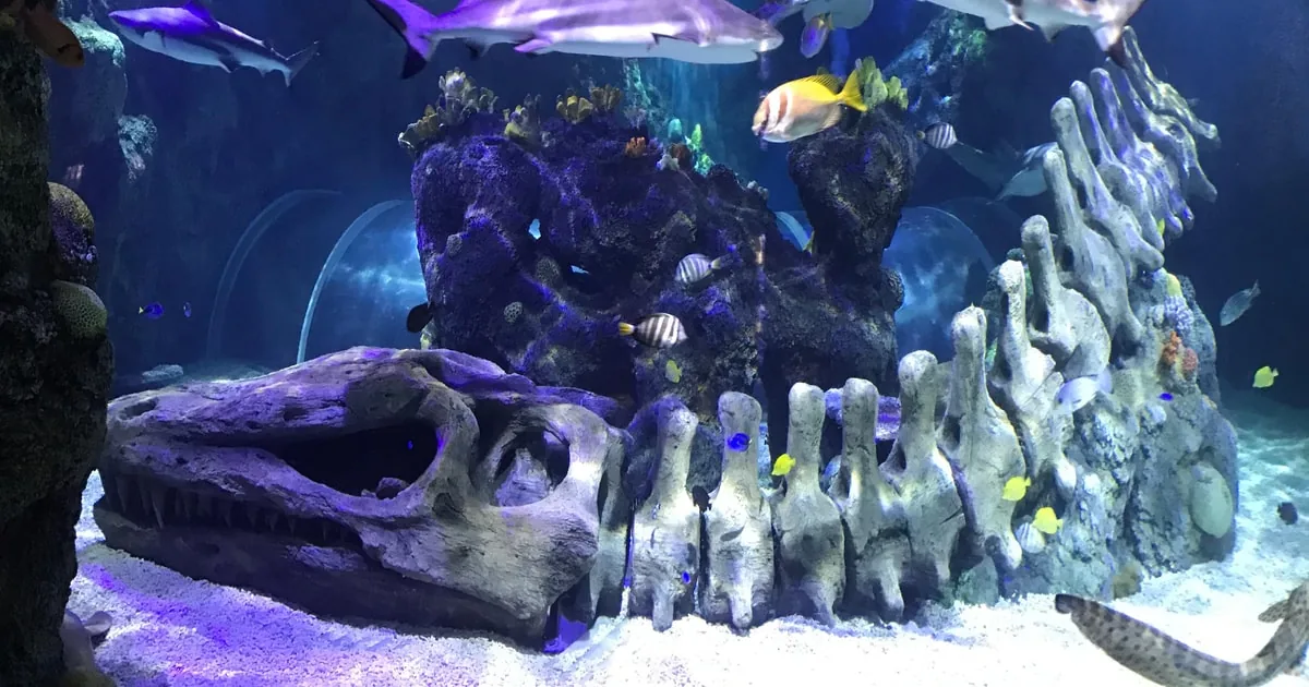 Benalmádena: Eintrittskarte für das Sea Life Aquarium